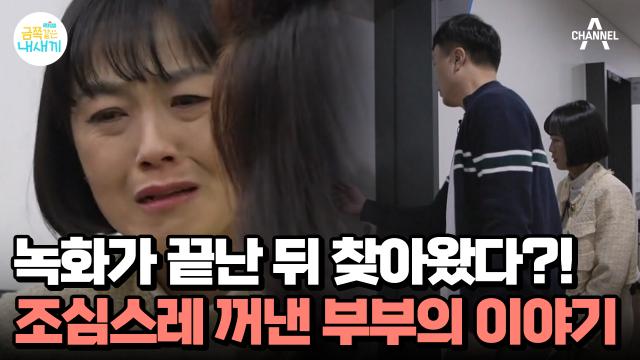!돌발 상황! 녹화 후 오박사를 찾아온 부부!? 엄마가 변화를 두려워하는 이유