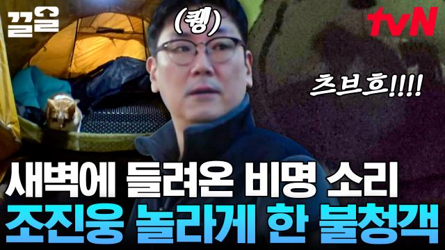 안녕히 못 잔 얼굴의 조진웅?!🌚 호시탐탐 진웅의 텐트를 노렸던 야생의 이것(?) 때문😅 | 텐트밖은유럽스페인
