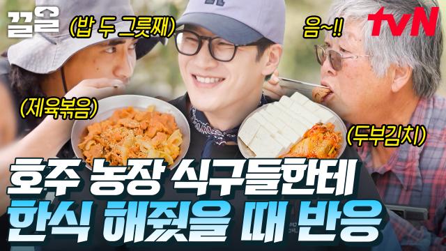제육볶음에 두부김치는 맛없없😋 고마운 마음 가득! 농장 식구들에게 찐찐 한국식 밥상을 선물한 보현 X 준빈 | 부산촌놈in시드니