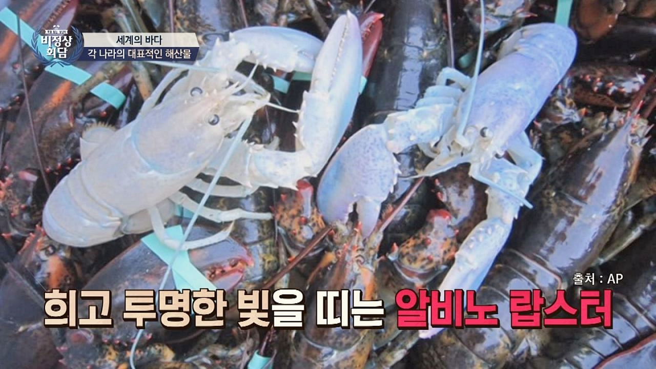 타일러 ＂2살 때 문장으로 말했다＂ 천재 인증! - 곰TV