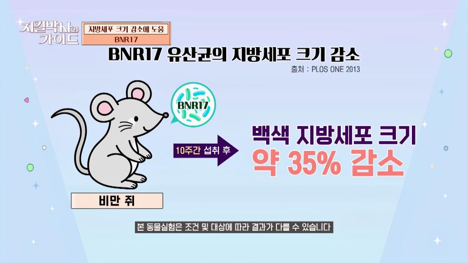 곰TV - All About Video