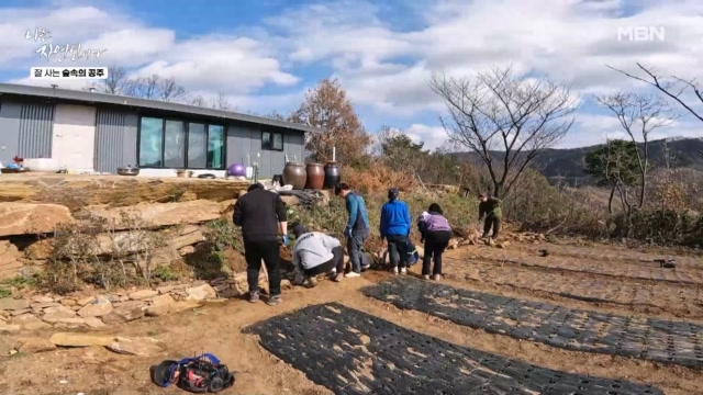 자연인 제작진이 나섰다! '자연 길' 완성! MBN 231129 방송