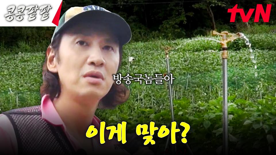 스프링클러 성능 시연회 이후 살벌해진 분위기... 깻잎 향으로 화 다스리는 김우빈 #콩콩팥팥 | tvN 231117 방송
