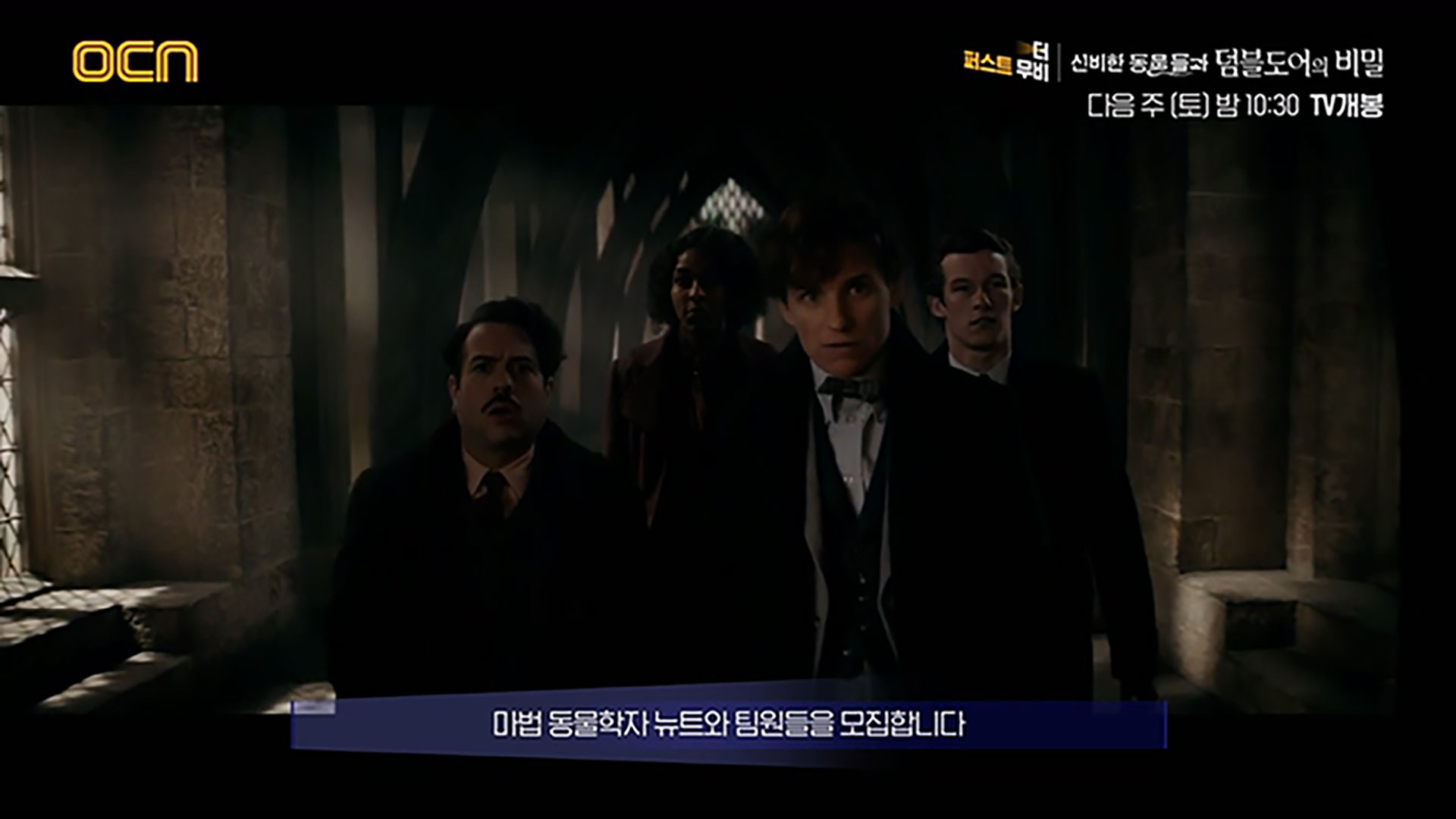 OCN | [더 퍼스트 무비] 《신비한 동물들과 덤블도어의 비밀》 8/5 (토) 밤 10시 30분 TV개봉