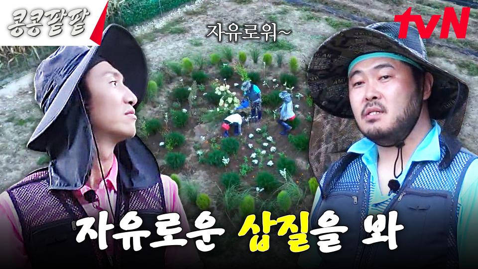 [밭꾸로그😇] 점점 형태를 갖춰가는 미드소마... 아니 꽃밭^^ #콩콩팥팥 | tvN 231124 방송