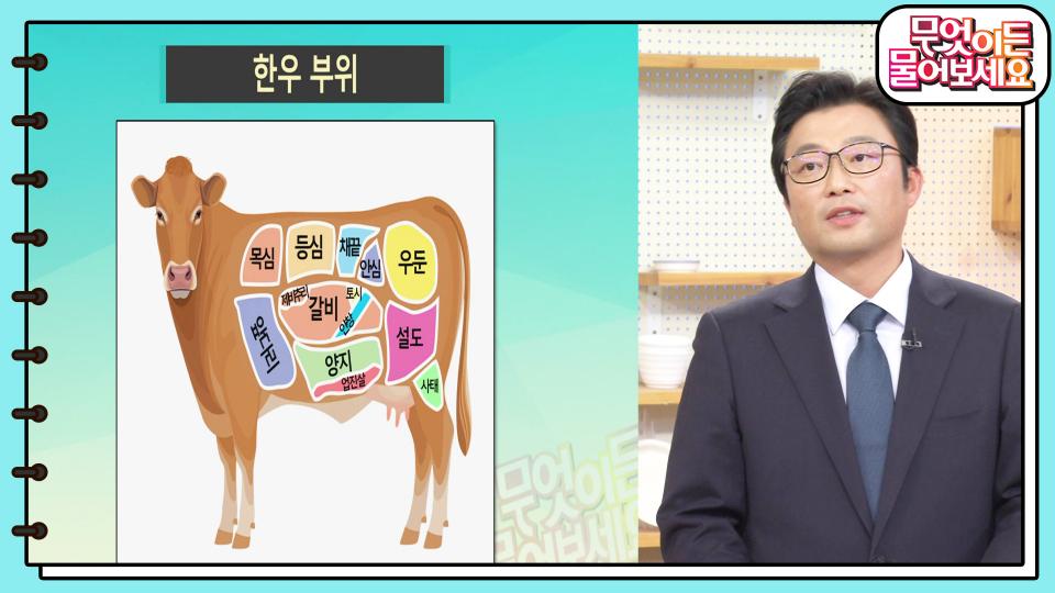 한우 이렇게 먹어야 맛과 영양이👍 부위별로 알고 골라 먹어라!  | KBS 231130 방송 