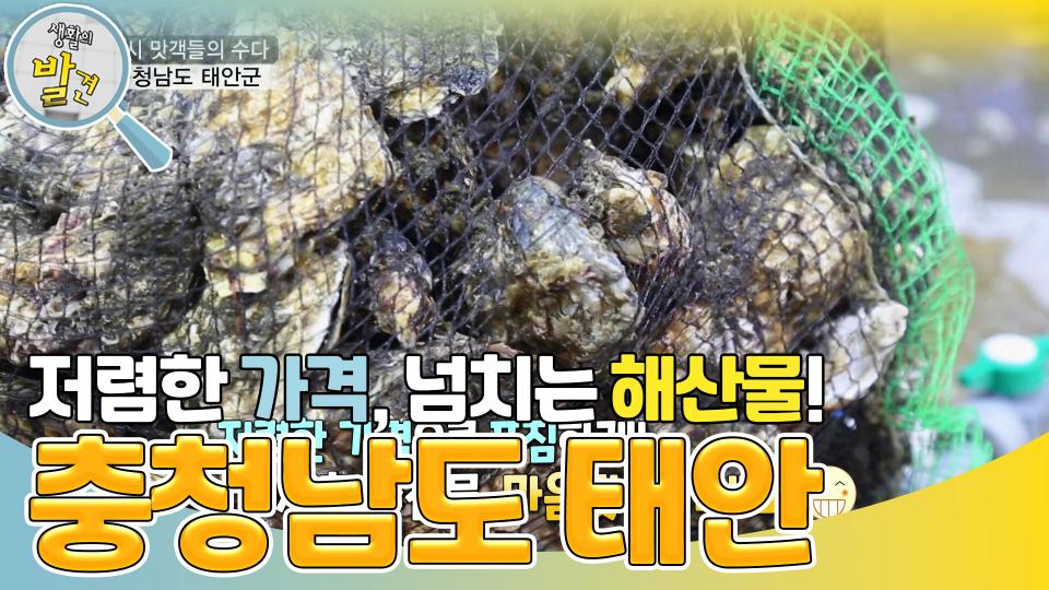 충남 태안으로 출발한 택시 맛객들! 저렴한 가격에 푸짐한 해산물이 한가득! | KBS 240129 방송 