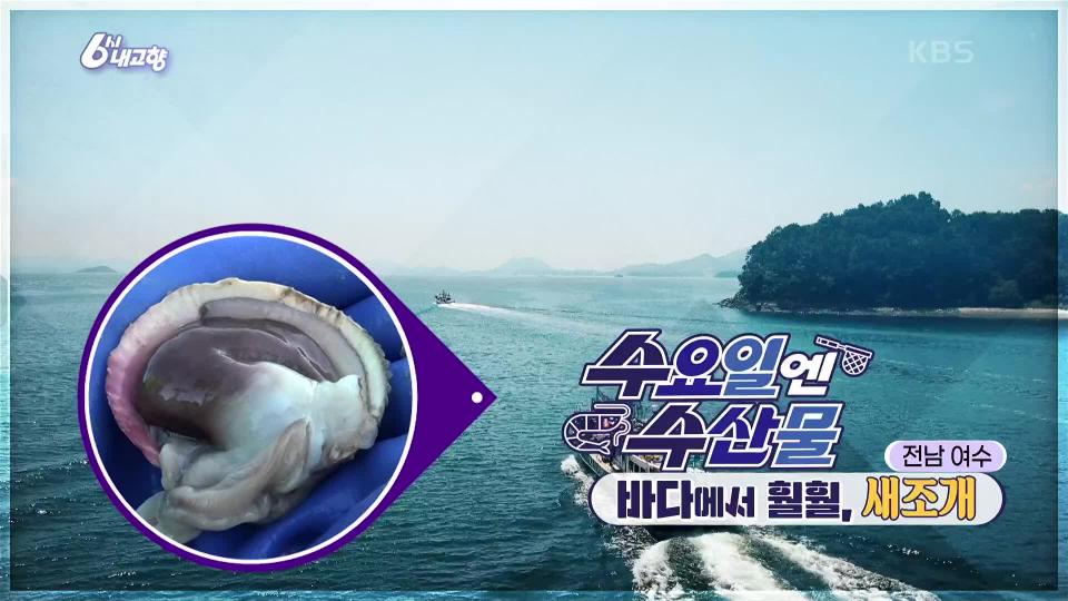 [수요일엔 수산물] 바다에서 훨훨, 새조개 | KBS 240221 방송 