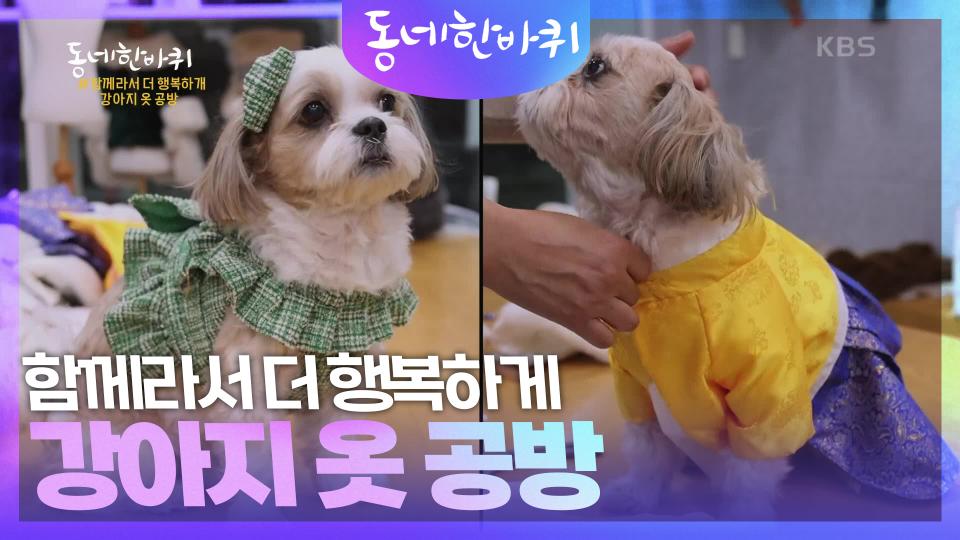 함께라서 더 행복하게 강아지 옷 공방 | KBS 240224 방송 