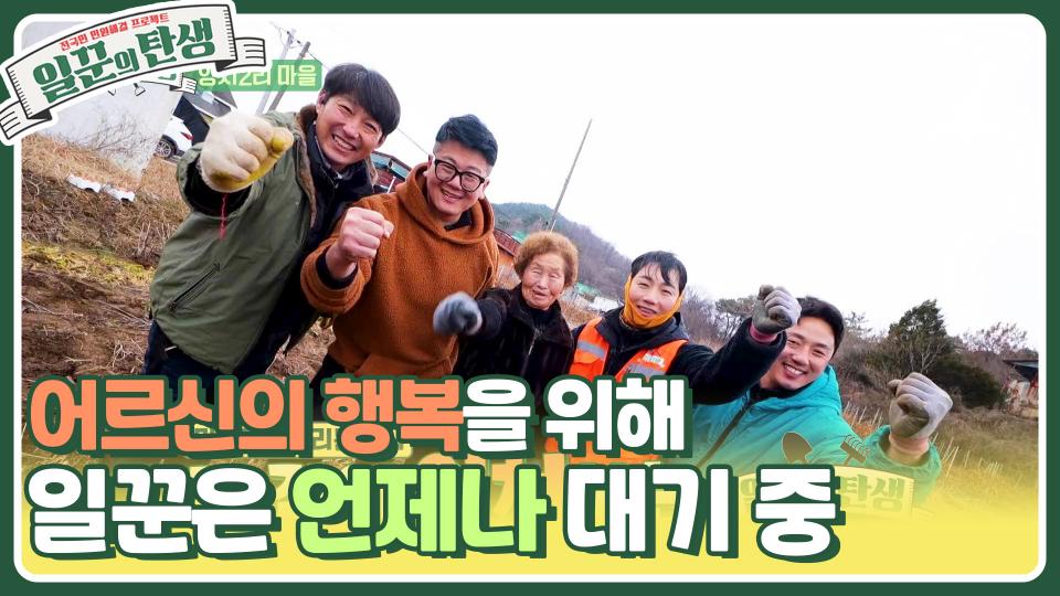 어르신 행복을 위해 일꾼은 언제나 대기 중😁 깻대와 밭 비닐 제거를 부탁해! | KBS 240228 방송 