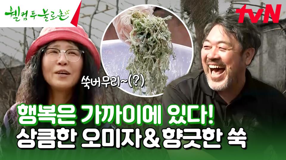 힐링 된다🍃... 시원하게🧊 오미자 한잔하면서 향긋한 쑥버무리 만들어 먹기😋 #유료광고포함 | tvN 240427 방송