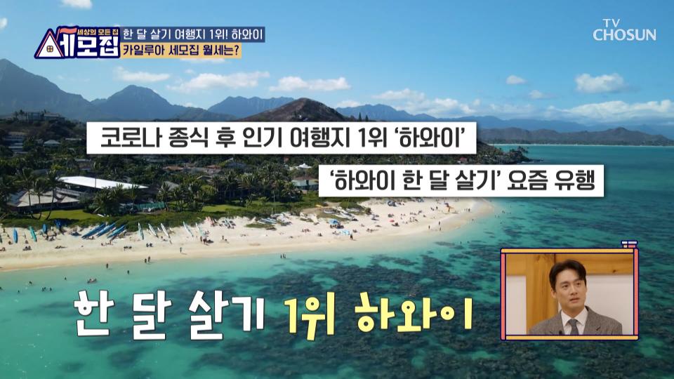 한 달 살기 하고 싶은 나라 1위😎 해변 맛집 🏝하와이🏝 TV CHOSUN 231222 방송