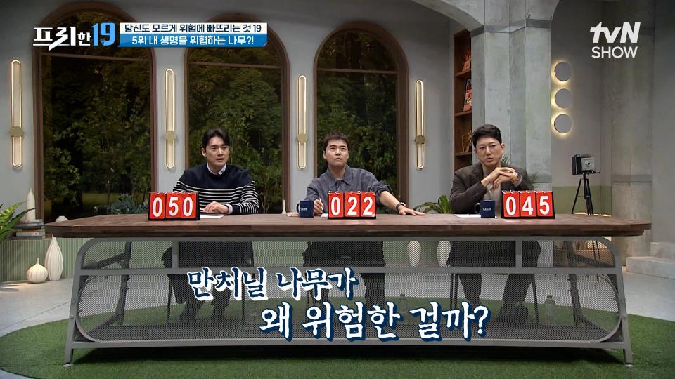 가까이 다가가기만 해도 위험한 나무🌳🙅‍♀️ [당신도 모르게 우리를 위험에 빠뜨리는 것 19] | tvN SHOW 231120 방송