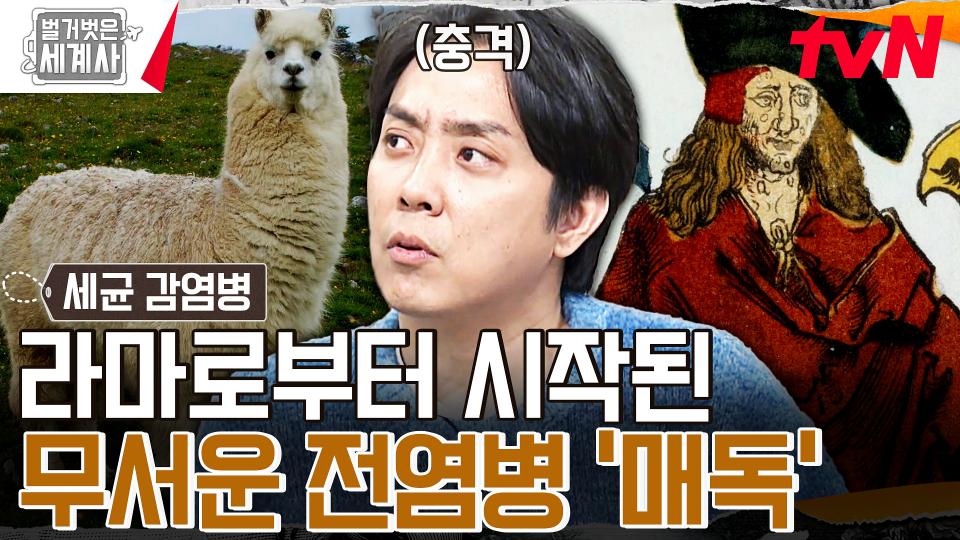 (충격 주의) 인간의 욕망이 낳은 '매독'은 라마로부터 시작이 되었다? | tvN 240227 방송