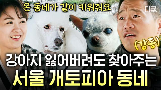 (60분) 견구 밀도가 가장 높은 곳! 공원은 개들이 점령했다!? 온 동네가 서로 같이 키워주는 서울 개토피아🐶 | #고독한훈련사 #인기급상승