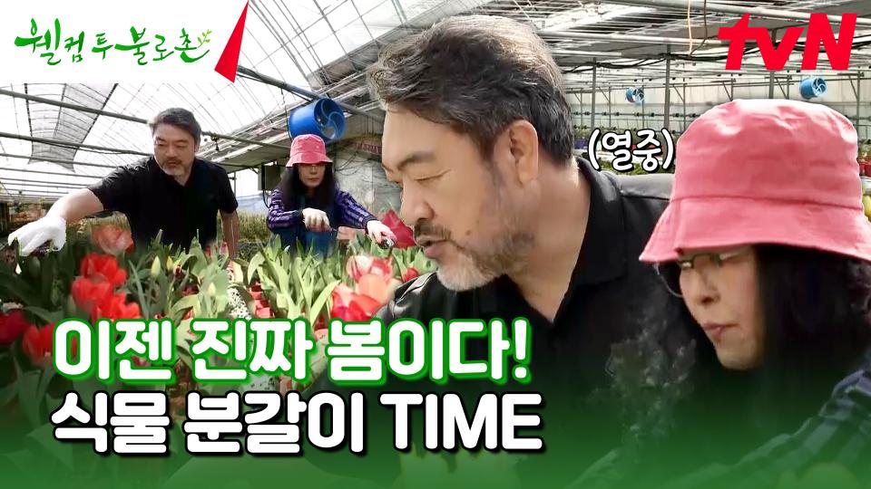 진짜 봄이 왔어요🌷 끝이 안 보이는 분갈이도 왔어요...😅 #유료광고포함 | tvN 240427 방송