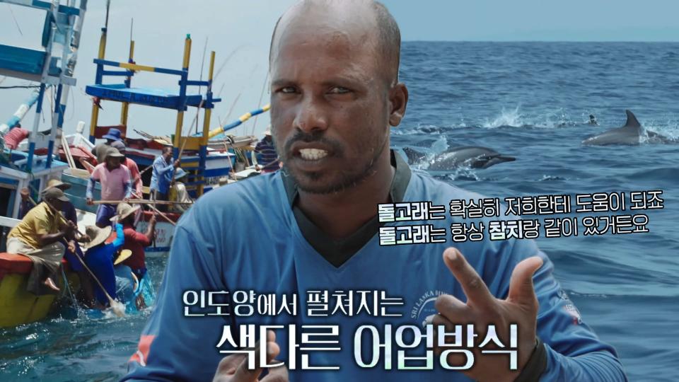 ‘그라인다드랍’ 페로 제도에서 벌어지는 고래 사냥 축제 - 곰TV