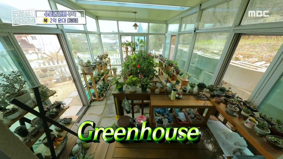 초록초록 화분 가득한 다용도실🌵 매매가 2억 원대의 수도권 인근 주택, MBC 240425 방송