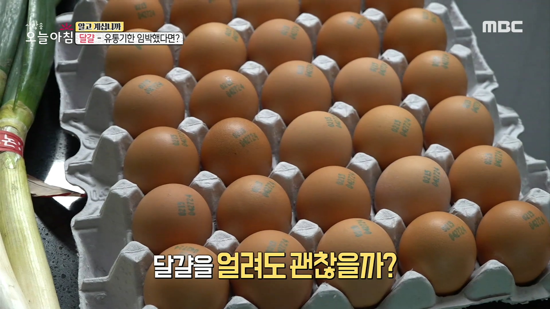 위치만 바꿔도 오래 먹는다? '달걀' 보관법!, MBC 210304 방송 - 곰TV