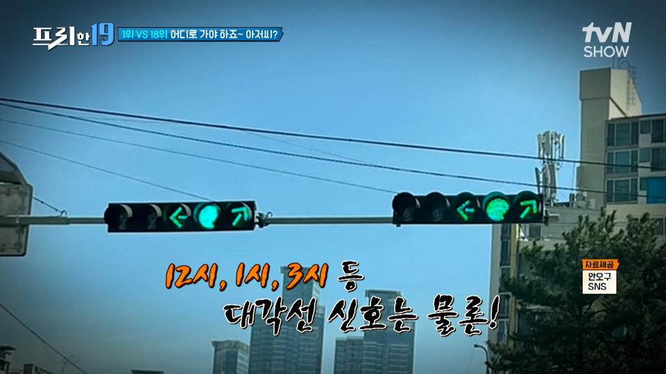 강한 자들만이 살아남는 부산! 어지러운 부산 신호등😵🚦 [이거 우리 동네 사람들만 알아? 19] | tvN SHOW 240226 방송