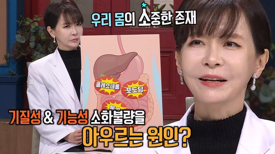 생명의 불꽃 ‘효소’가 부족하면 생기는 문제! (똑똑똑!고민상담소)