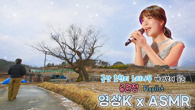 눈 오는 날☃ 금산 초현리 느티나무 바라보며 듣는 #류원정 노래🧡 / KBS 대전방송