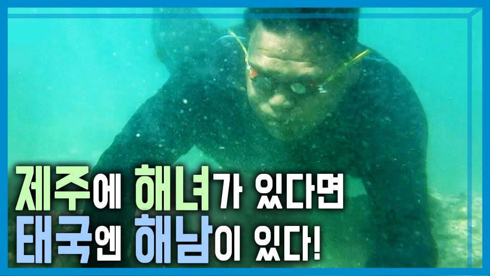 태국의 명물 해남(海南), 기후변화로 소멸 위기 | KBS 240210 방송 